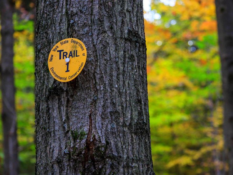 Hammond Hill — Wilderness Within Reach