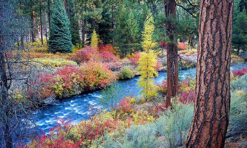 Bend's Extended Color Show