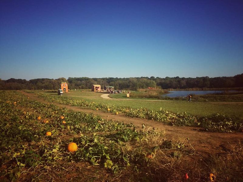 The Apple Works: Orchard Magic and Pumpkin Picking