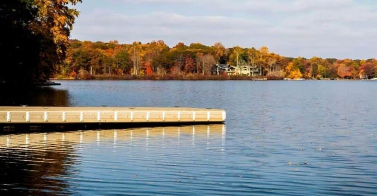 Snake Filled Lakes and Rivers Across Connecticut