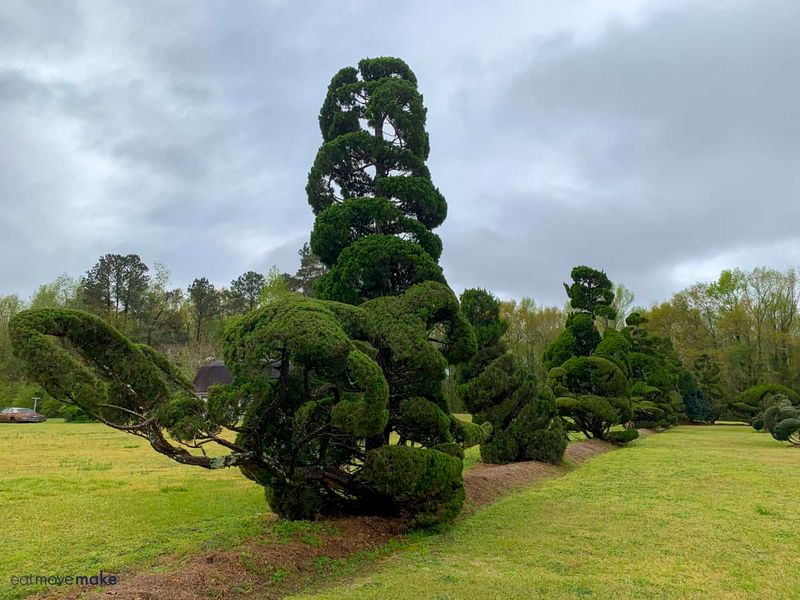 Rescued Plants Become Living Masterpieces