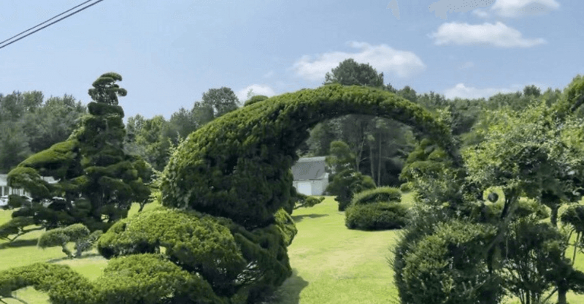 South Carolina’s Most Surreal Attraction Is Bishopville’s Unbelievable Topiary Garden