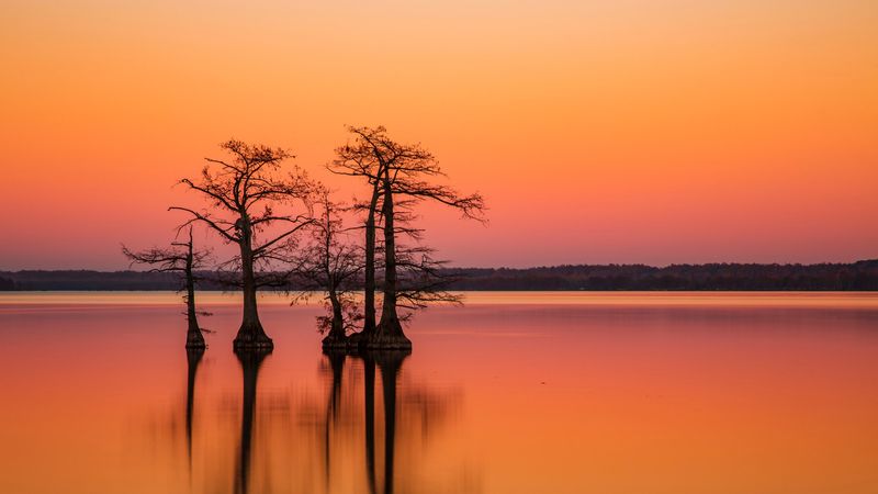 Reelfoot Lake State Park