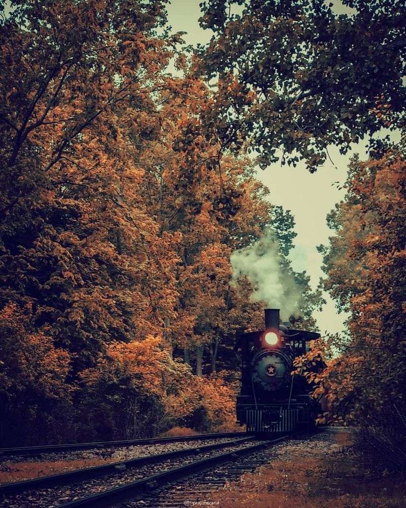 Huckleberry Railroad (Flint/Crossroads Village)