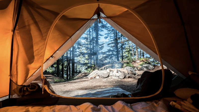 Cozy Campsites Under Starlit Skies