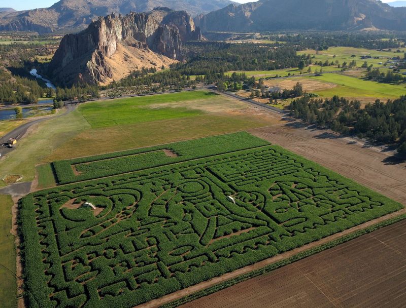 Monopoly-Themed Corn Maze Adventure