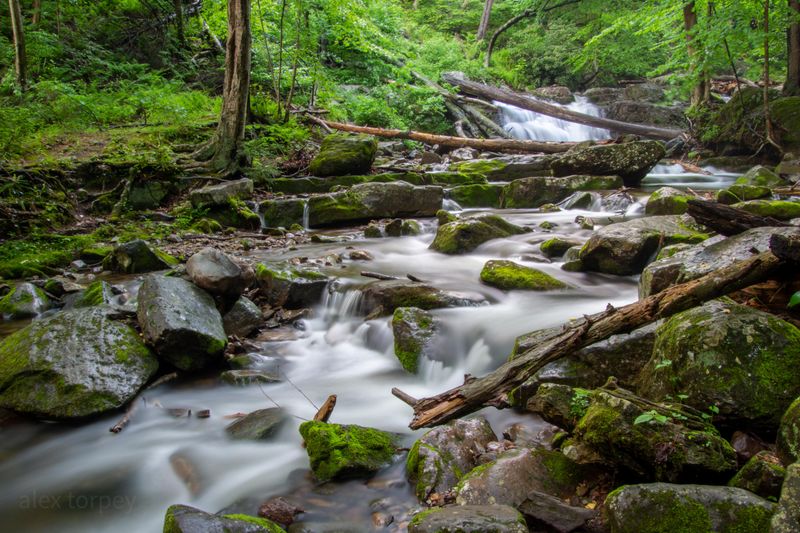 Photographer's Paradise Year-Round