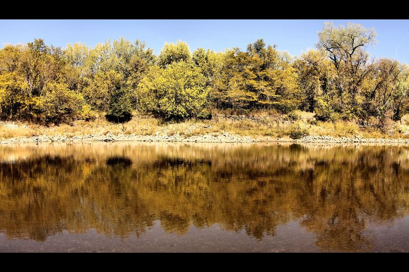 Walnut Woods State Park
