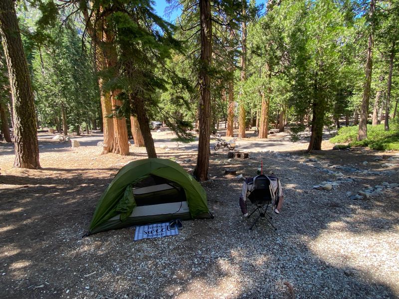 Camping and Visitor Information