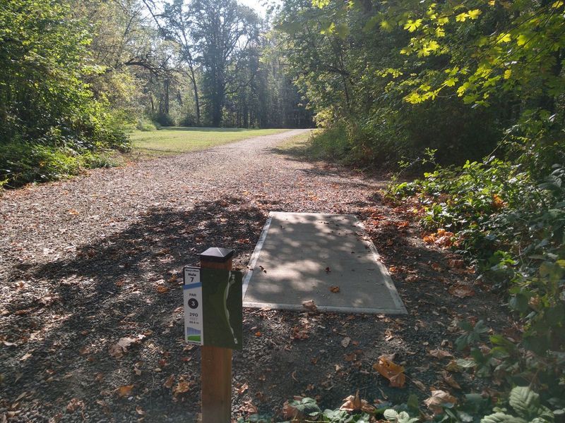 Family Fun Spaces Within City Limits