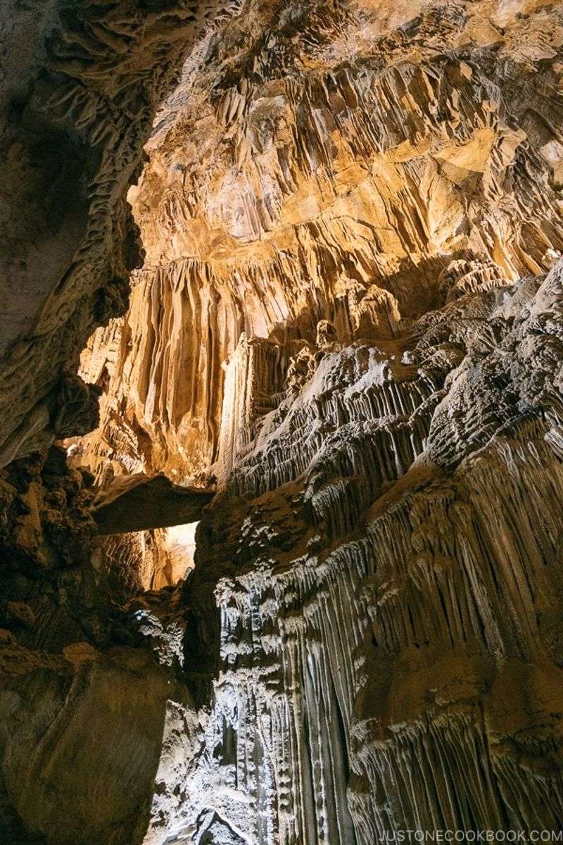 Ancient Origins and Discovery