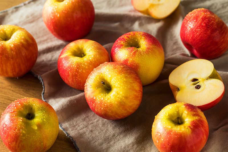 Keep Apples Cold And Dry To Hold That Honeycrisp Crunch