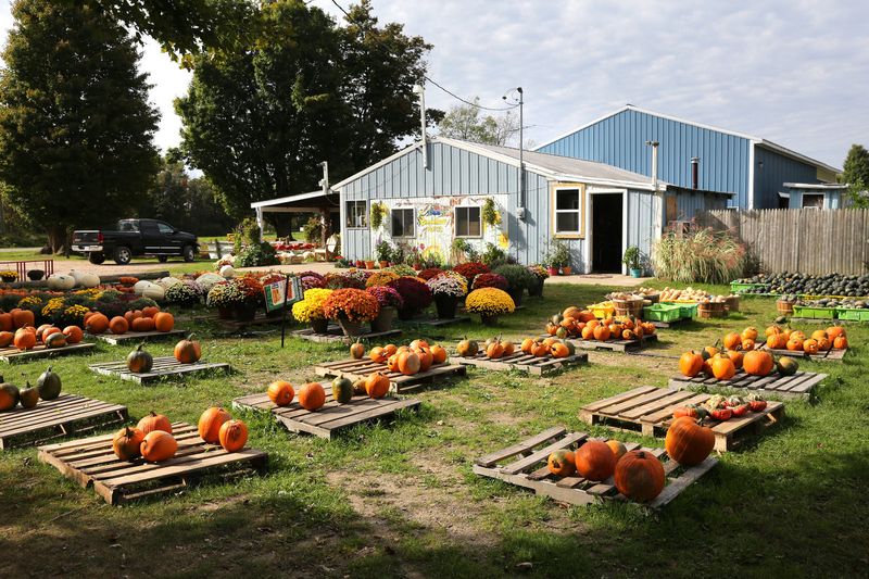 Bumbleberry Acres