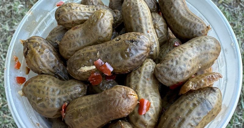 Boiled Peanuts