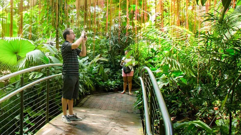 Wander Through Botanical Wonderland