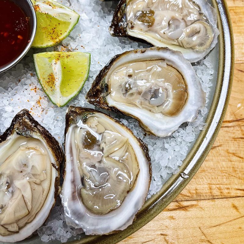 Gulf Oysters Make A Fresh Comeback