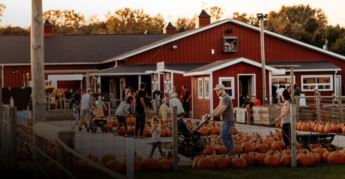 The 10 Best Pumpkin Picking Spots Between Virginia And Michigan