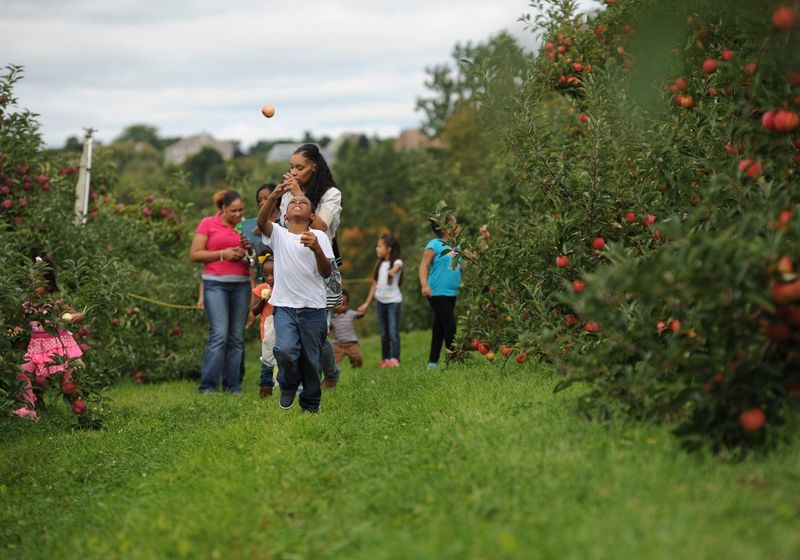 Honey Pot Hill Orchards (Massachusetts)