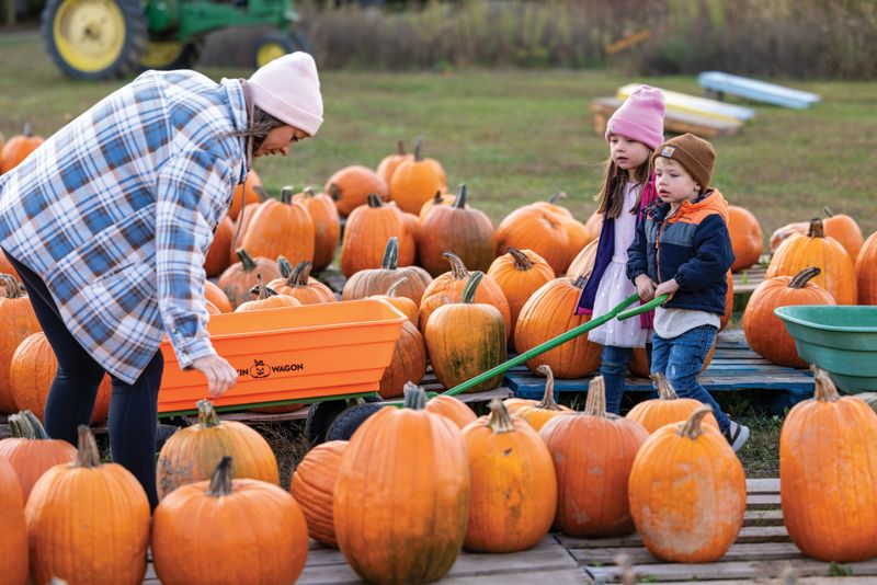 Piney Acres Farm: Christmas Trees and Fall Festivities