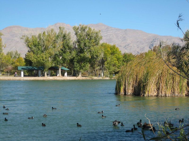 Creation of a Public Park