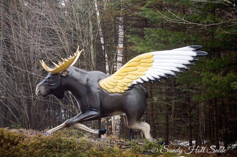 Mythical Moose Magic