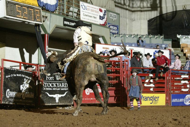 Stockyards Championship Rodeo