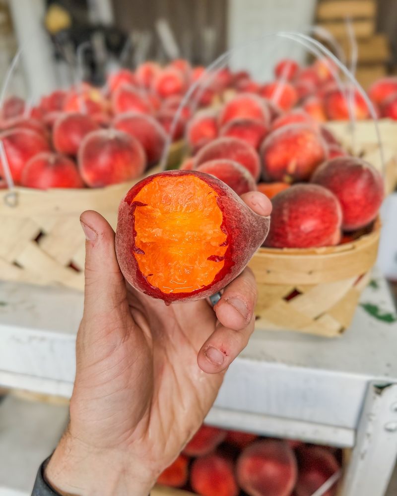 Chilton County's Sweet Reputation