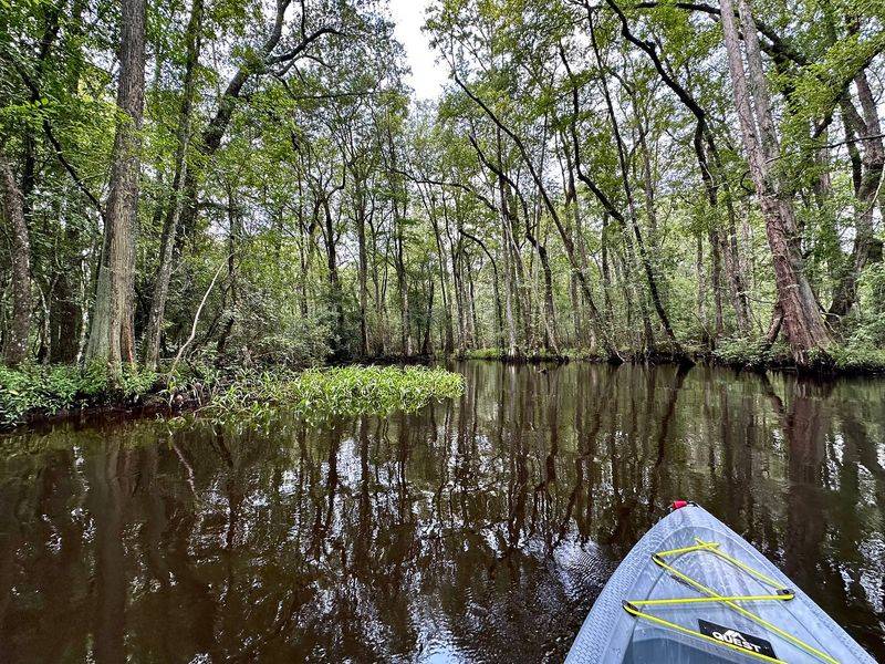 The South Edisto River