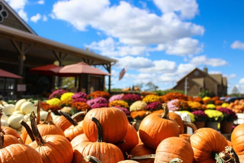 Trunnell's Farm Market