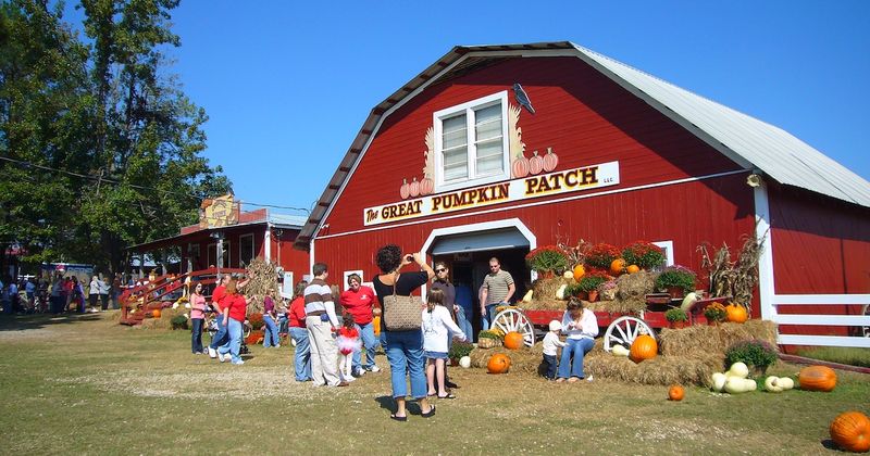 Family-Friendly Attractions