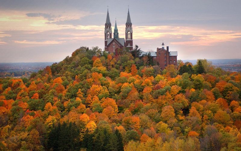 Foliage At Its Peak