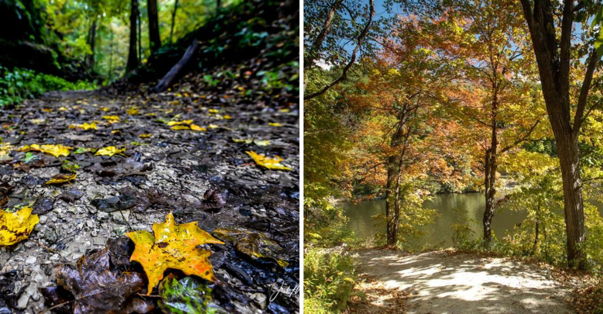 These Are The Top State Parks To View Fall Foliage Across Iowa