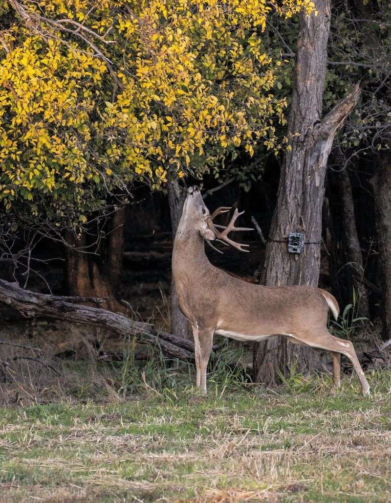 Wildlife Area Spanning Twelve Thousand Acres