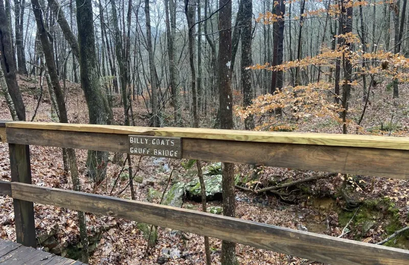Red Road Trail: Historic Logging Route Turned Recreation Path