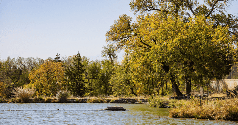 Lodging Options From Rustic to Refined