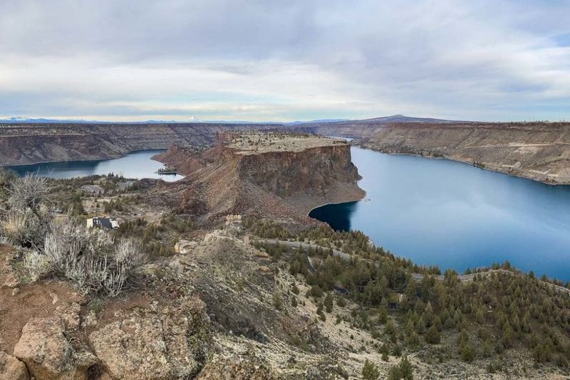Wildlife Haven in the High Desert
