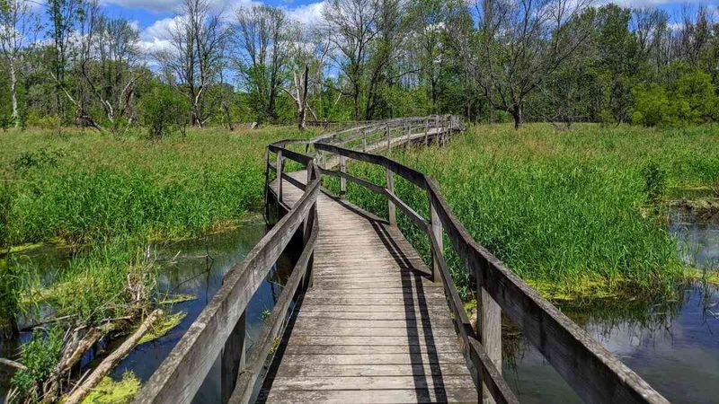 Boardwalks Above Wetlands