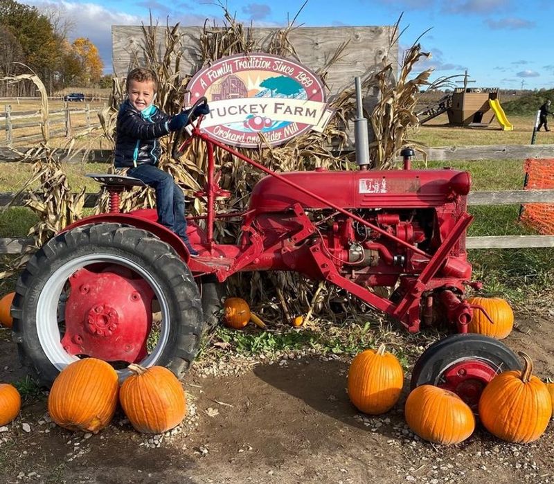 Stuckey Farm: Cider Mill Charm