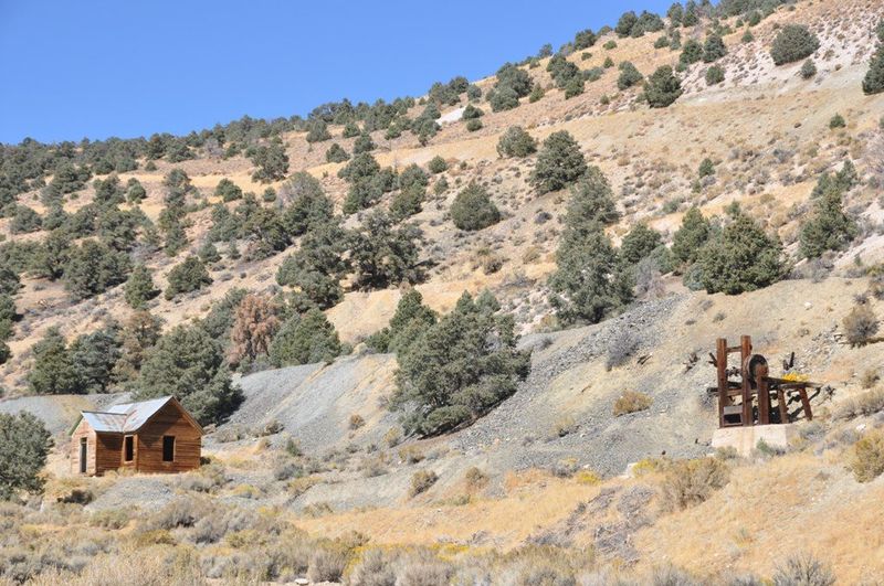 Pine Grove: Hidden in the Junipers