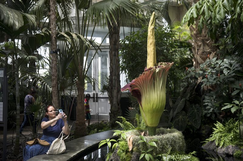 Support Garden Conservation Efforts