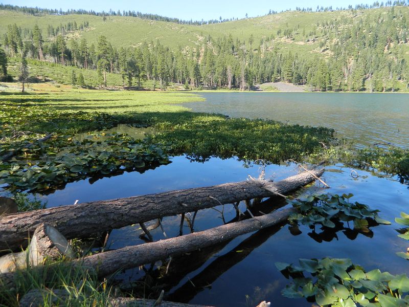 Blue Lakes