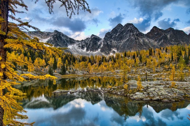 Northern Rockies' Wild Palette