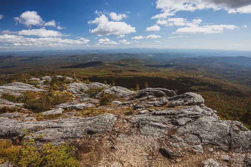Massive Scale Creates Diverse Ecosystems