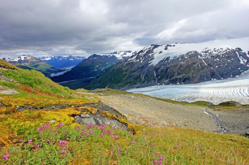 Hike the Harding Icefield Trail