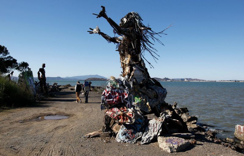 From Trash to Treasure: The Remarkable Transformation