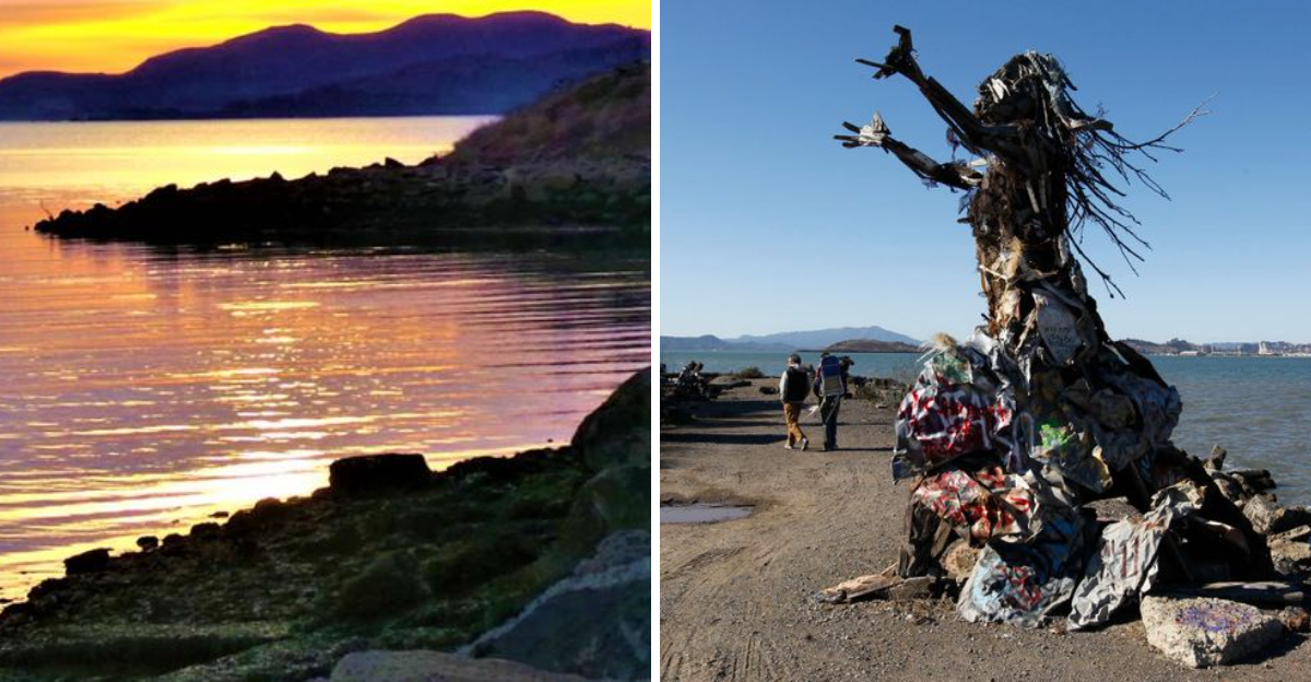 Visit This Waterfront Park In California, Once A Landfill Turned Into One Of The Bay Area’s Most Unique Hikes