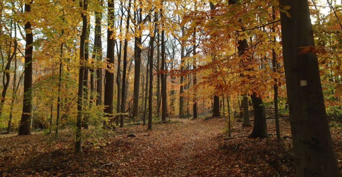 Walk Through Time On 7 Hidden Historical Hikes In New Jersey