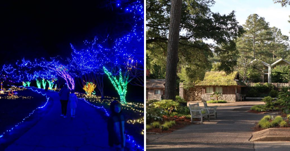 Want A Stroll In A Safe And Stunning Spot? Norfolk, Virginia’s Botanical Gardens Are Absolutely Gorgeous