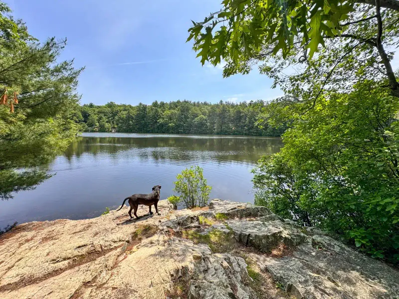 Breakheart Reservation (Saugus)