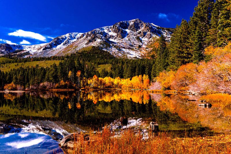 Sierra Nevada's Alpine Glow